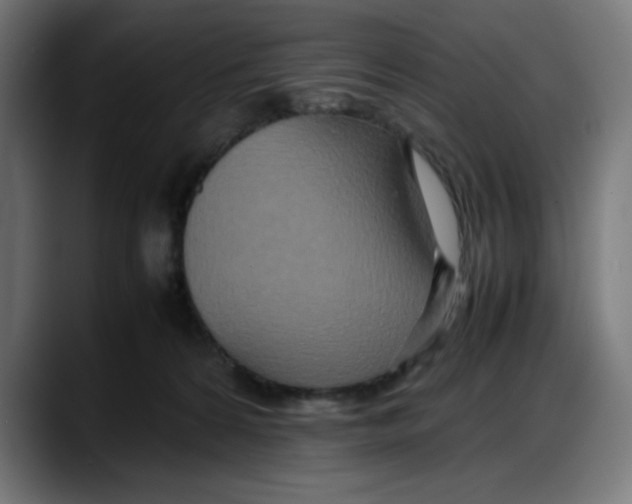 X0000087750224200705291040