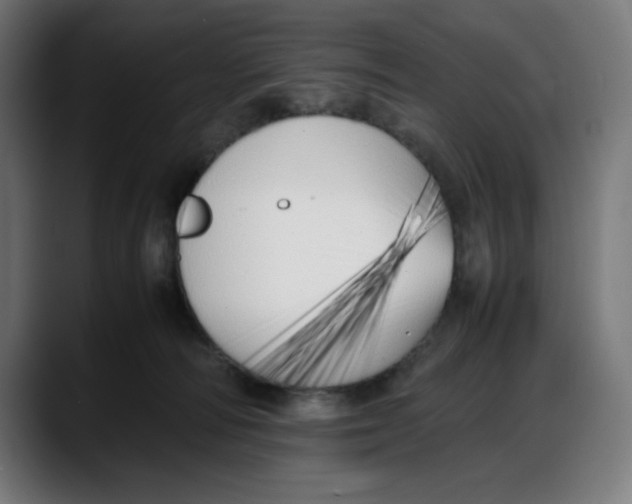 X0000087750226200705291040