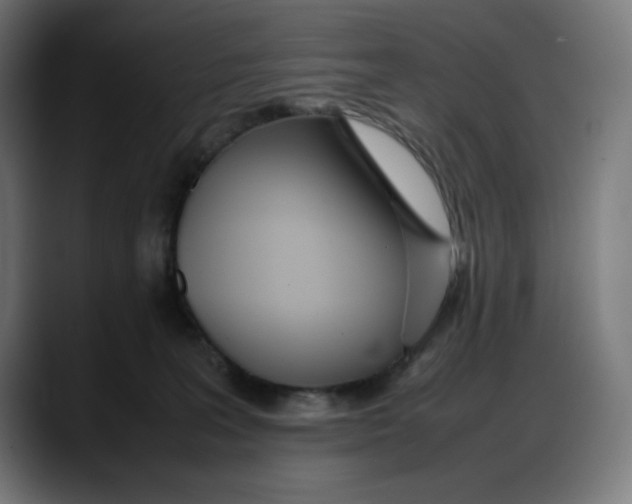 X0000087750227200705291040