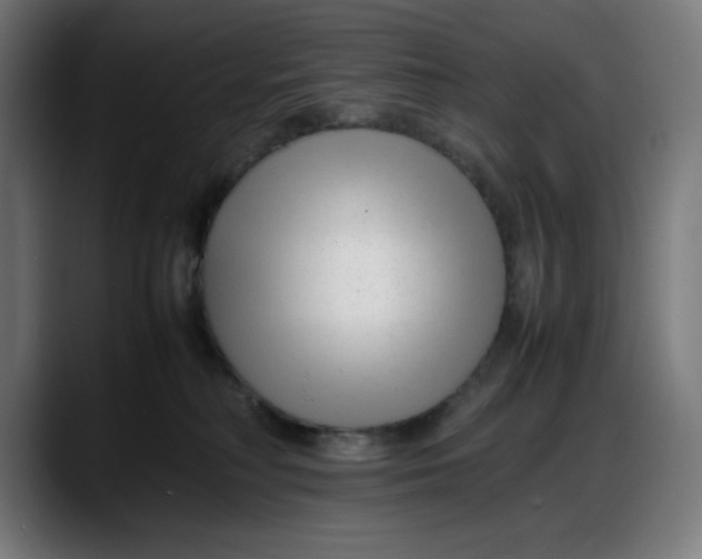 X0000087750230200705291040