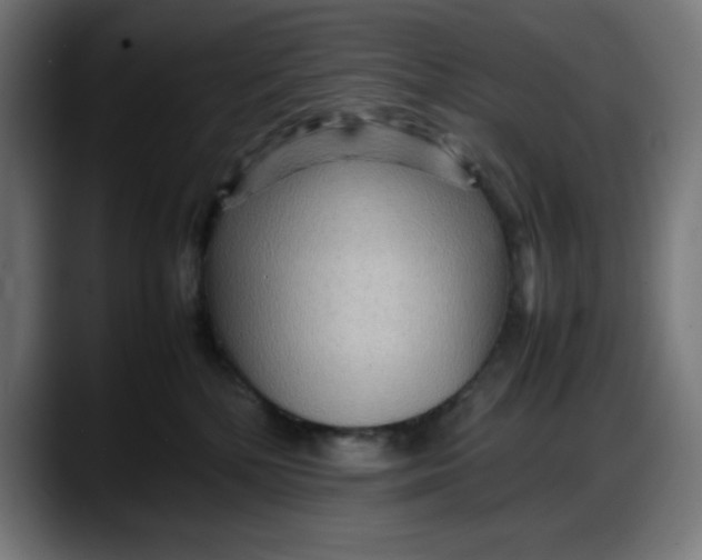 X0000087750232200705291040