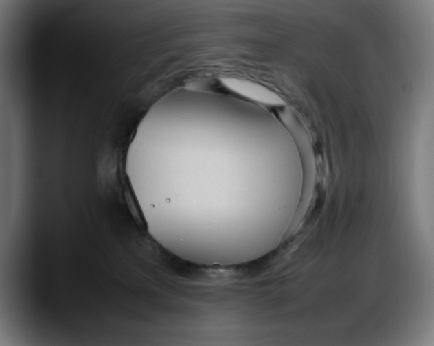 X0000087750233200705291040