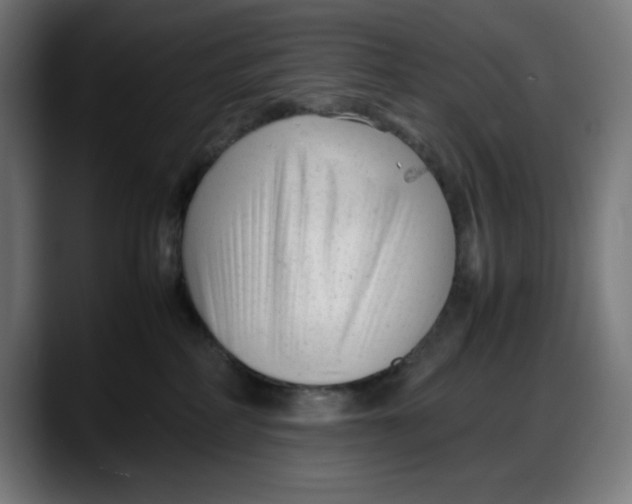 X0000087750234200705291040