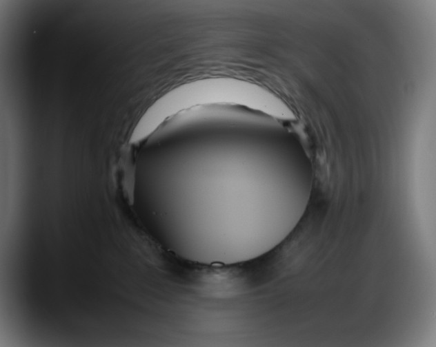 X0000087750235200705291040