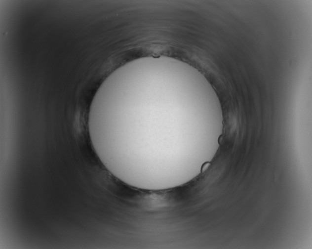 X0000087750236200705291040