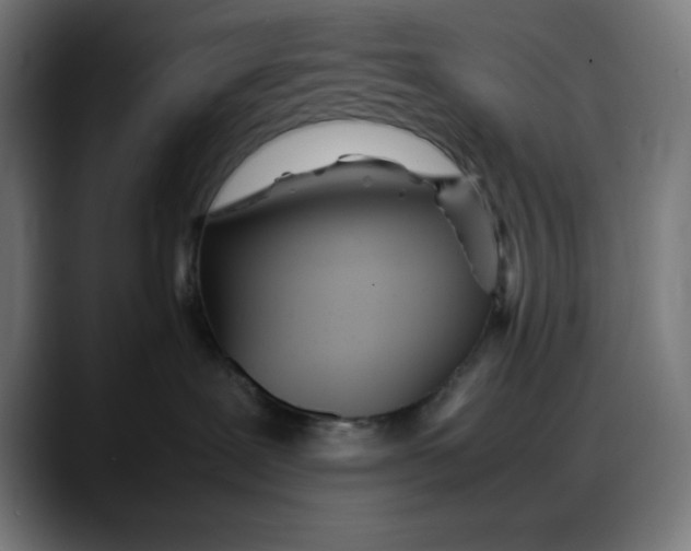 X0000087750239200705291040