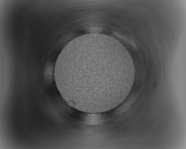 X0000087750240200705291040