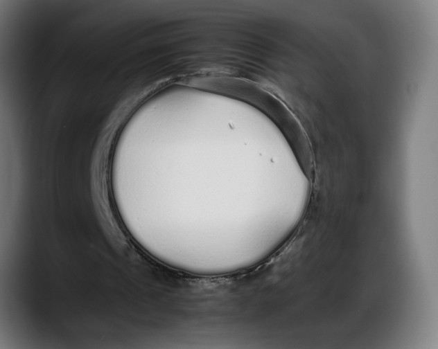 X0000087750241200705291039