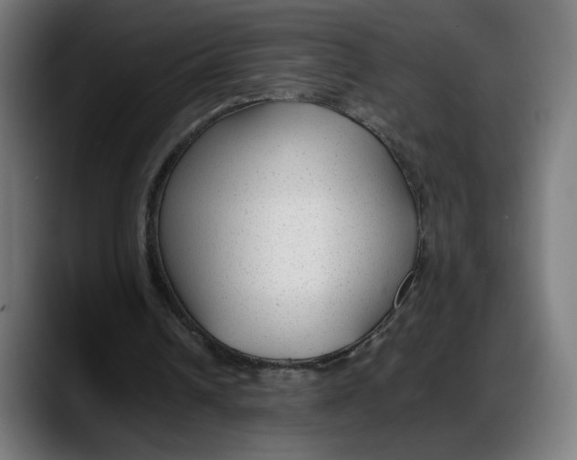 X0000087750242200705291039