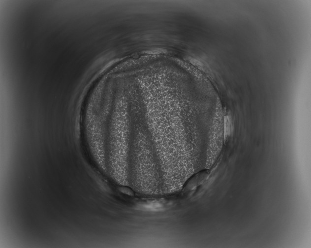 X0000087750243200705291039