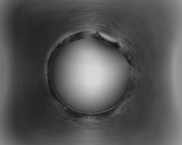 X0000087750244200705291039