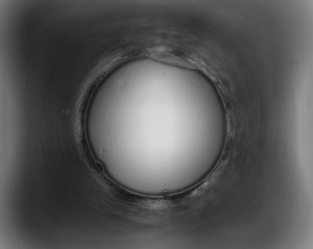 X0000087750245200705291039