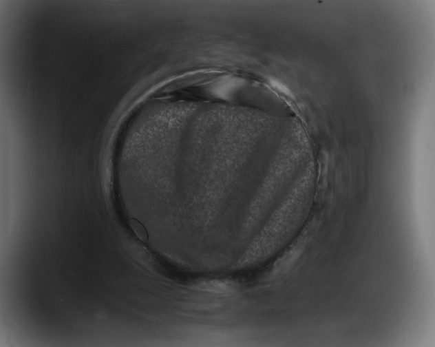 X0000087750247200705291039