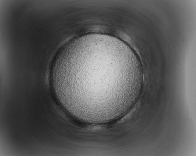 X0000087750249200705291039