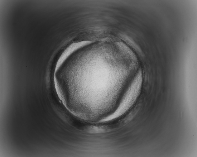 X0000087750250200705291039