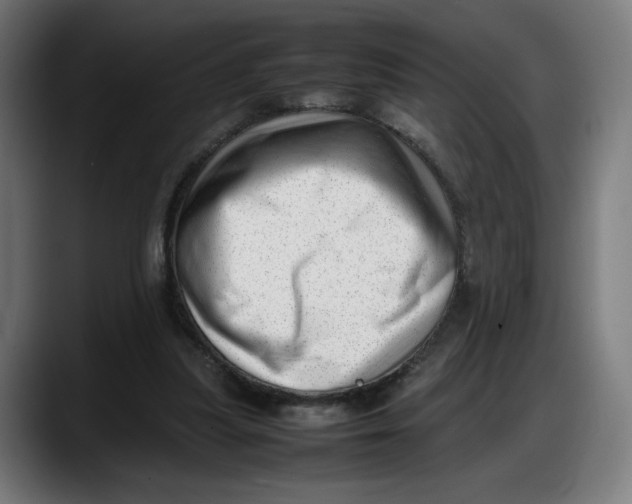 X0000087750251200705291039