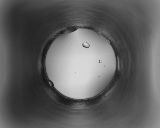 X0000087750252200705291039