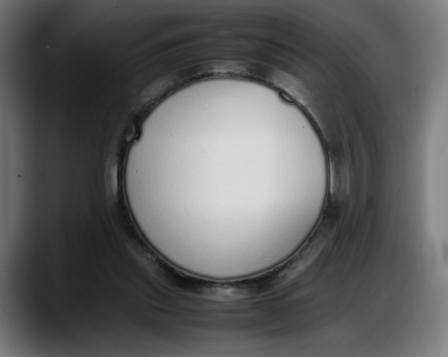 X0000087750253200705291039