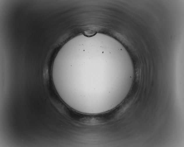 X0000087750254200705291039