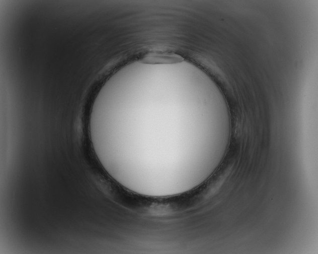 X0000087750256200705291039