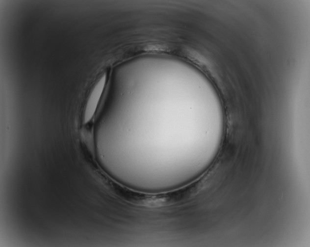 X0000087750257200705291039