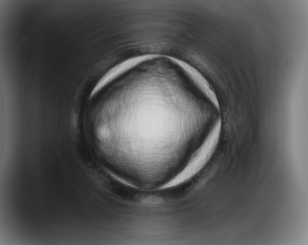 X0000087750258200705291039