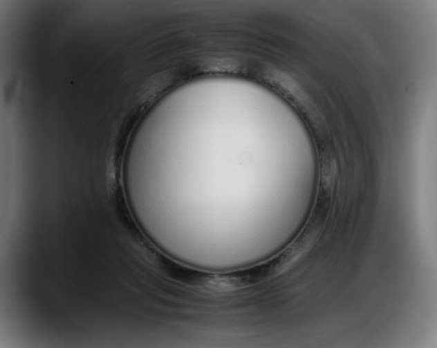 X0000087750261200705291039