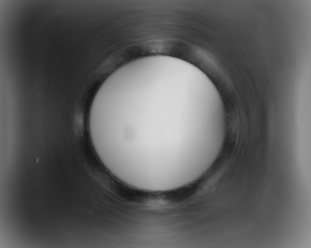 X0000087750262200705291039