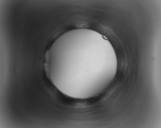 X0000087750263200705291039