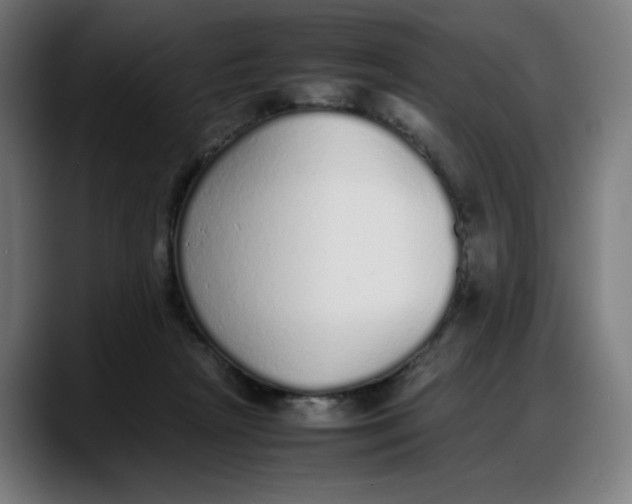 X0000087750265200705291039