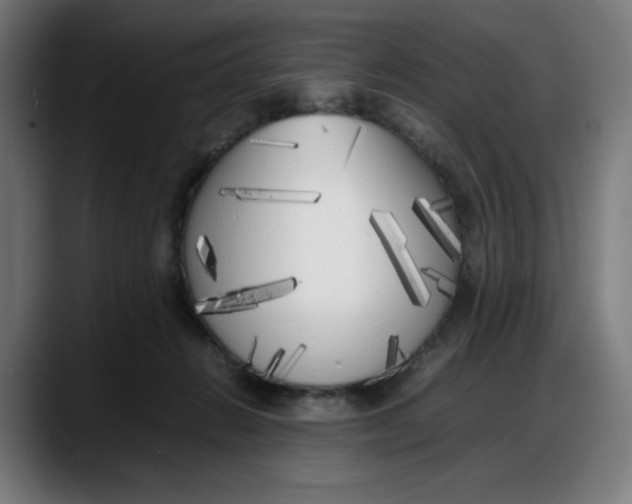 X0000087750270200705291039