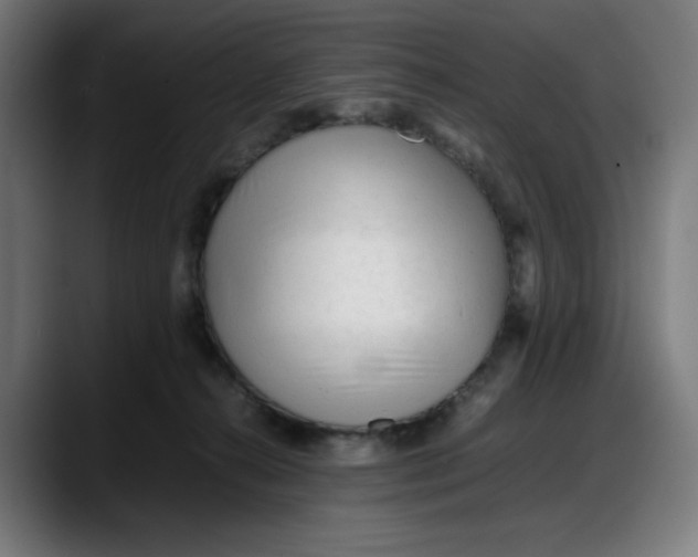 X0000087750272200705291039