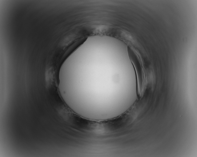 X0000087750276200705291040