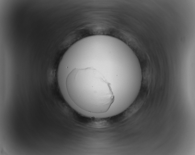 X0000087750278200705291040