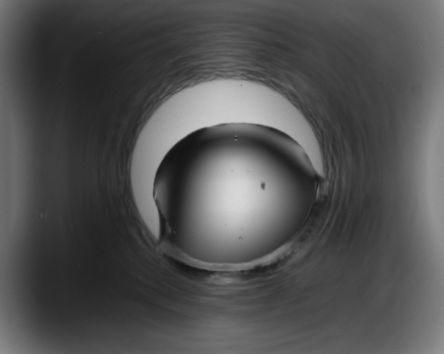 X0000087750280200705291040