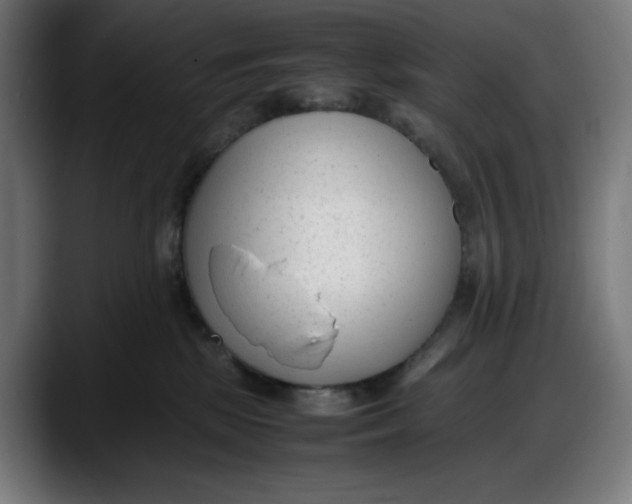 X0000087750281200705291040