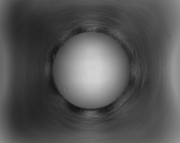 X0000087750283200705291040