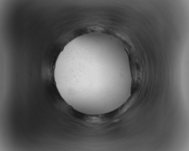 X0000087750285200705291040