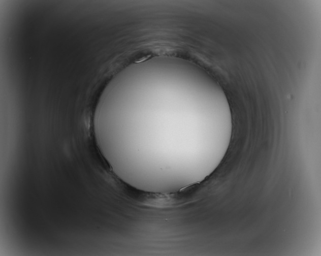 X0000087750288200705291040