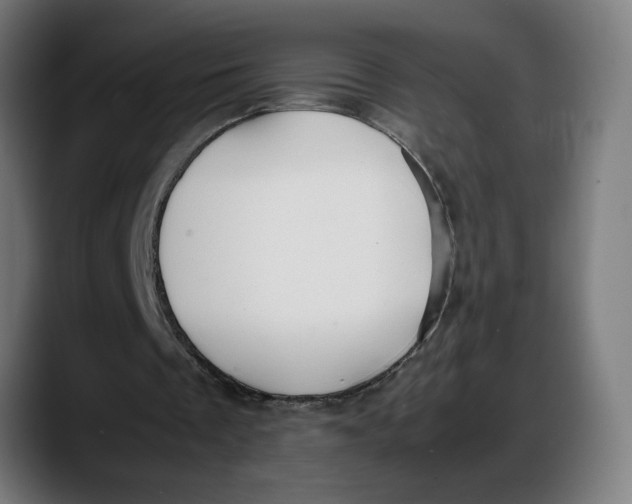 X0000087750289200705291039