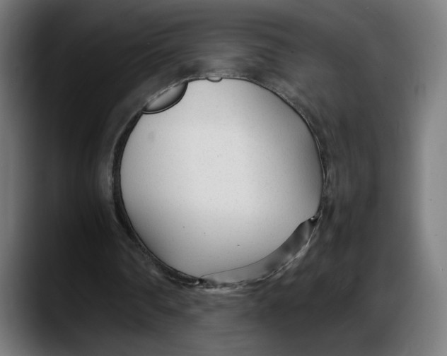 X0000087750290200705291039