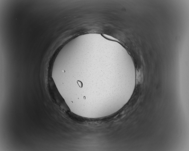 X0000087750291200705291039