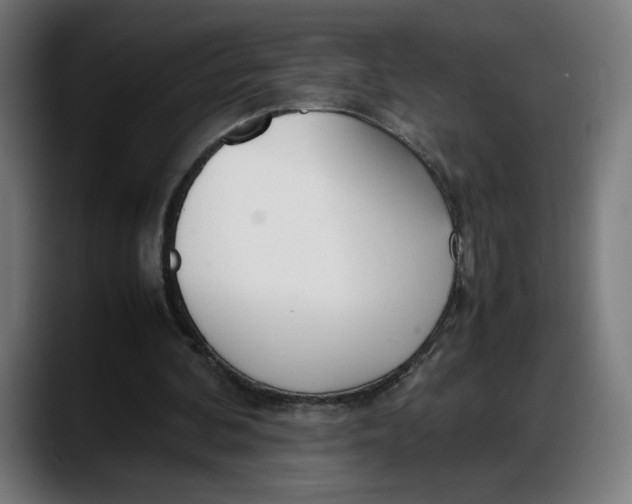 X0000087750292200705291039