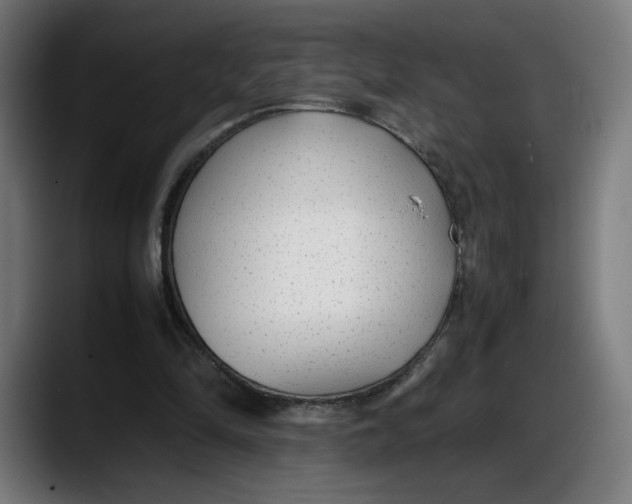 X0000087750294200705291039