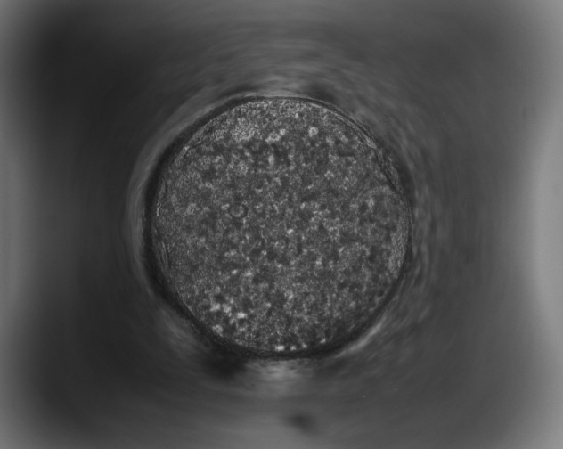 X0000087750295200705291039