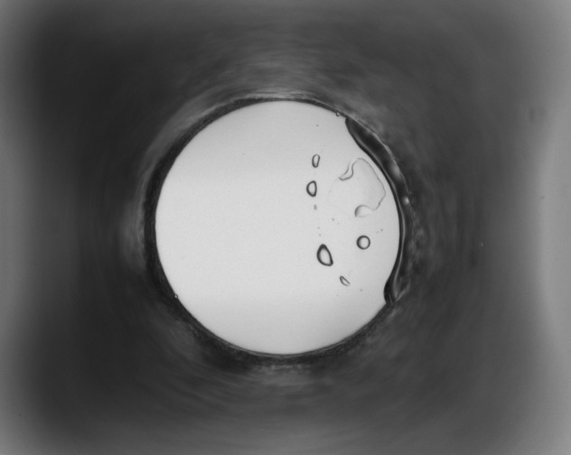 X0000087750296200705291039