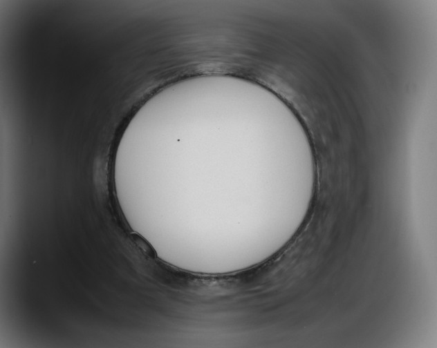 X0000087750297200705291039