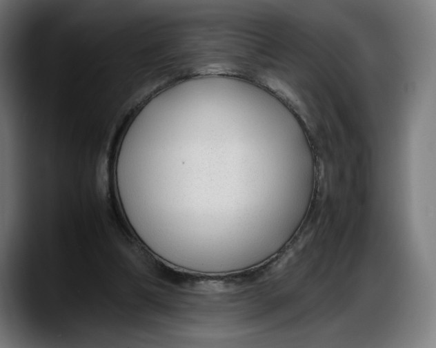 X0000087750298200705291039