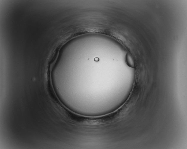 X0000087750299200705291039