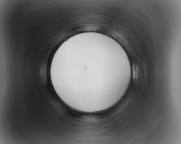 X0000087750300200705291039